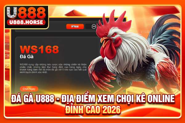 Đá Gà U888 - Địa Điểm Xem Chọi Kê Online Đỉnh Cao 2026
