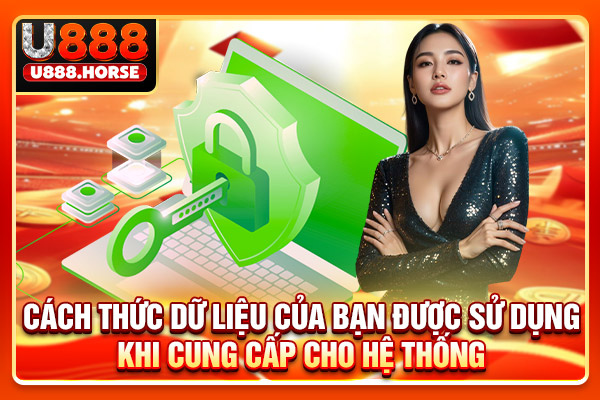 Cách thức dữ liệu của bạn được sử dụng khi cung cấp cho hệ thống
