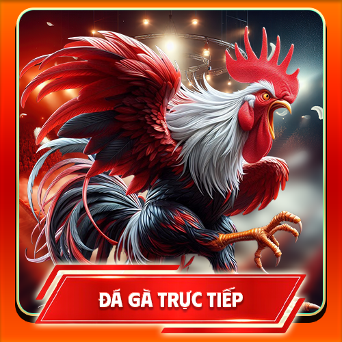đá gà trực tuyến u888