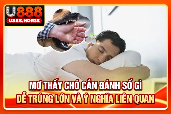 Mơ Thấy Chó Cắn Đánh Số Gì Dễ Trúng Lớn & Ý Nghĩa Liên Quan