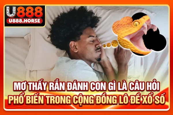 Mơ thấy rắn đánh con gì là câu hỏi phổ biến trong cộng đồng lô, đề, xổ số