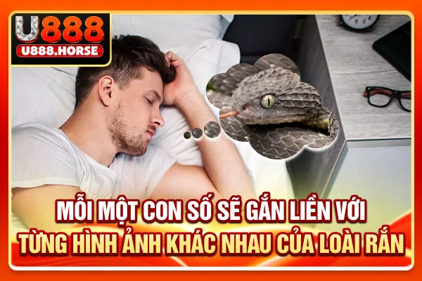 Mỗi một con số sẽ gắn liền với từng hình ảnh khác nhau của loài rắn