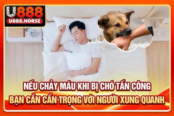 Nếu chảy máu khi bị chó tấn công, bạn cần cẩn trọng với người xung quanh