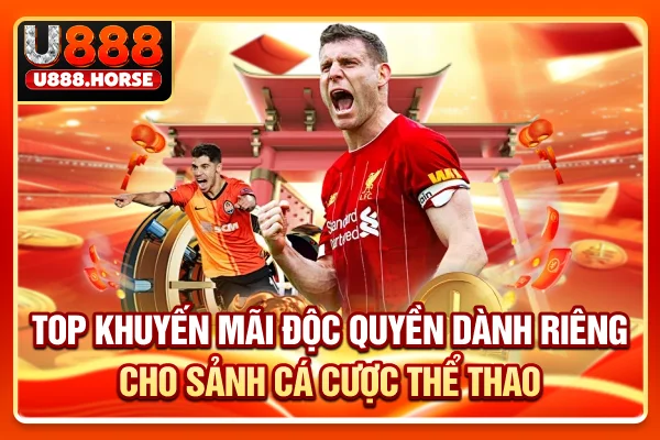 Top khuyến mãi độc quyền dành riêng cho sảnh cá cược thể thao