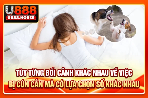 Tùy từng bối cảnh khác nhau về việc bị cún cắn mà có lựa chọn số khác nhau