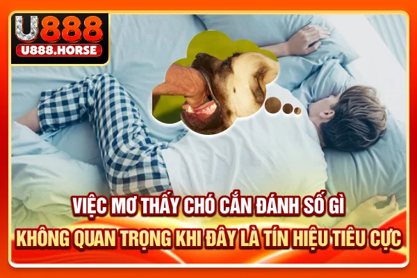 Việc mơ thấy chó cắn đánh số gì không quan trọng khi đây là tín hiệu tiêu cực